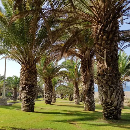 Lägenhetshotell Bahia Bungalows By Be Cool Meloneras
